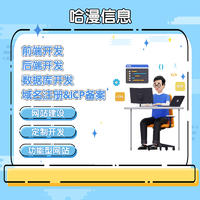 網站二次開發 高效修復Bug與增強功能，提供一站式信息技術咨詢服務